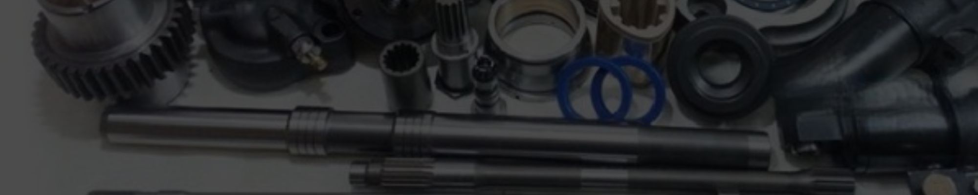 Banner Titulo Productos